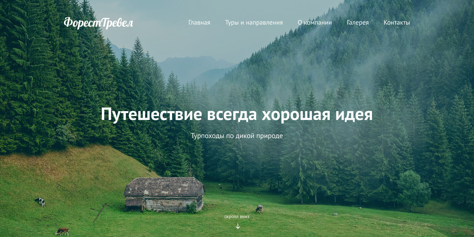 forest travel img